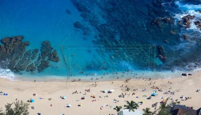 An island as beautiful as paradise, but tourists are afraid of shark attacks Picture 3