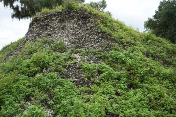 Picture 2 of Ancient Australians and Americans ate billions of oysters for thousands of millennia