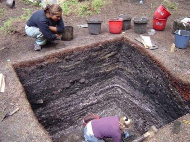 Picture 3 of Ancient Australians and Americans ate billions of oysters for thousands of millennia
