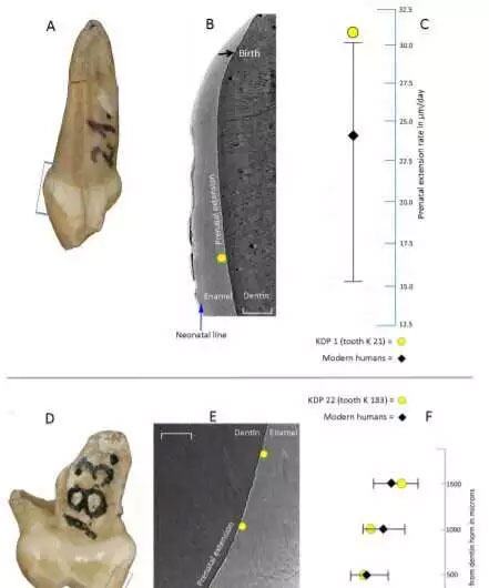 Ancient human remains 120,000 years old: 4 months old is already 'superman' Picture 1