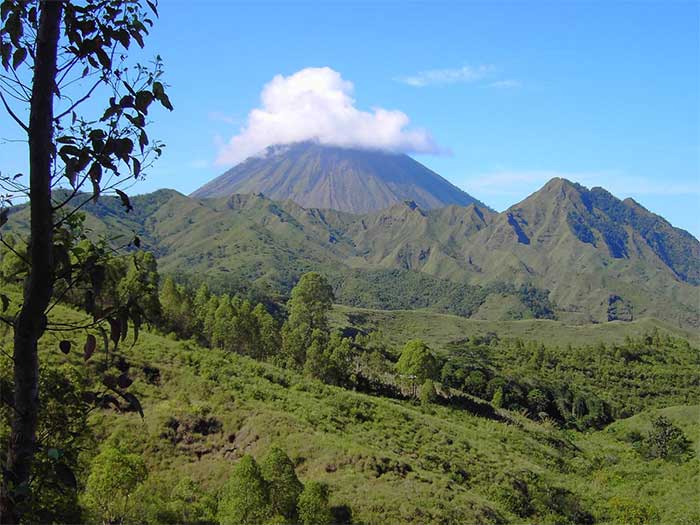 Picture 2 of Ancient humans may still live on Indonesia's Flores island