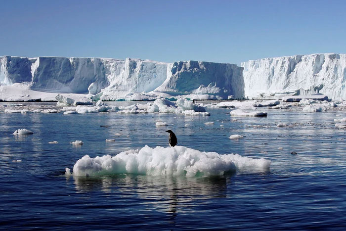 Picture 5 of 'Another world' discovered thousands of meters deep under the ice in Antarctica