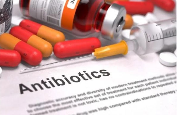 Picture 2 of Antibiotics 'transform' themselves - New weapon against drug resistance