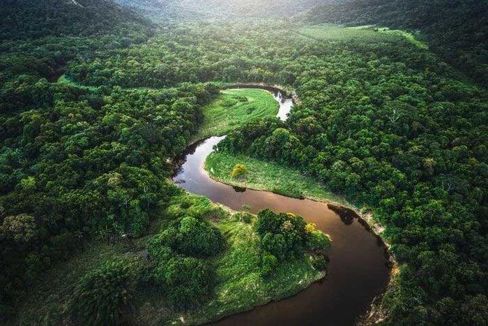 Picture 1 of Archaeologists have discovered an ancient civilization beneath the Amazon rainforest.