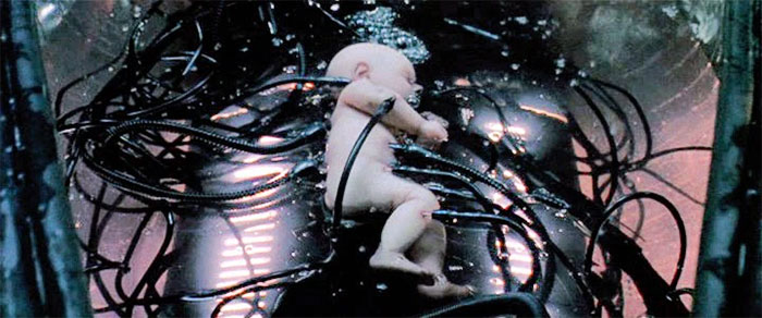 Picture 3 of Artificial uterus: In the future, women do not have to 'carry a painful birth' because there are machines to do it