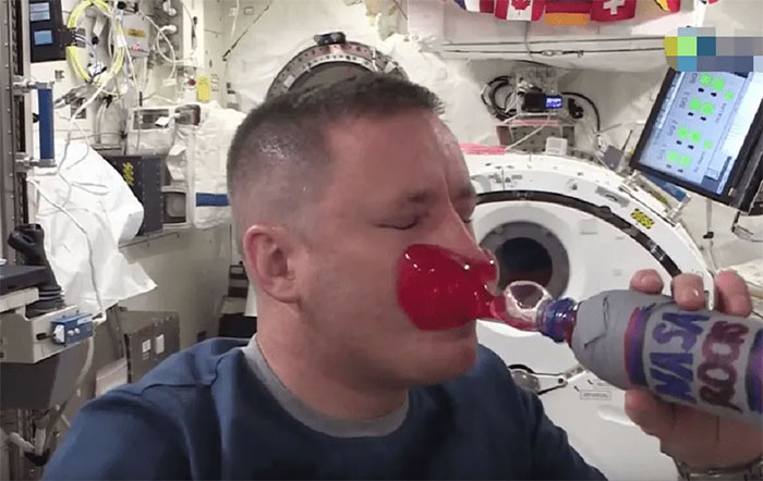 Astronaut couple in space: Did 'sex' happen? Scientists are also curious! Picture 3