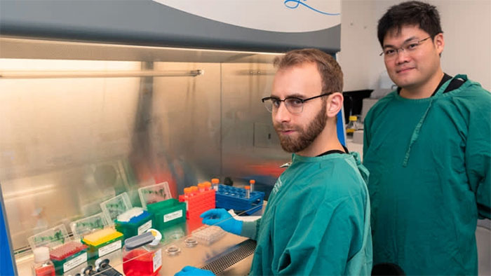 Picture 2 of Australia develops chip with human brain