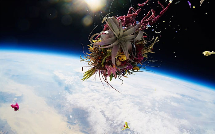 Azuma Makoto - Pioneer in the project of bringing trees into space Picture 4