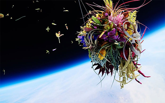 Azuma Makoto - Pioneer in the project of bringing trees into space Picture 6