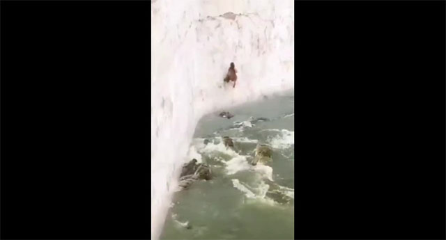 Baby monkey falls into crocodile cage and the unexpected ending Picture 1