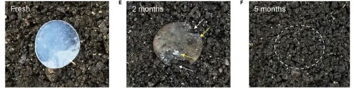 Picture 3 of Batteries made from this one-of-a-kind material will soon replace lithium-ion batteries in electric cars