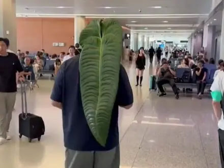 Picture 2 of Being mocked for carrying a leaf on the plane, the young man shocked everyone when he revealed its 'origin'