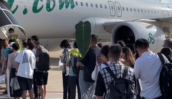 Picture 3 of Being mocked for carrying a leaf on the plane, the young man shocked everyone when he revealed its 'origin'