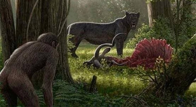 Besides humans, what animal has basically no natural enemies? Picture 4