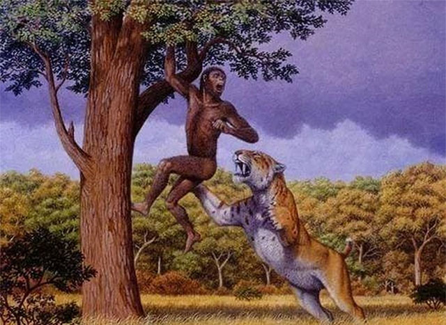 Besides humans, what animal has basically no natural enemies? Picture 5
