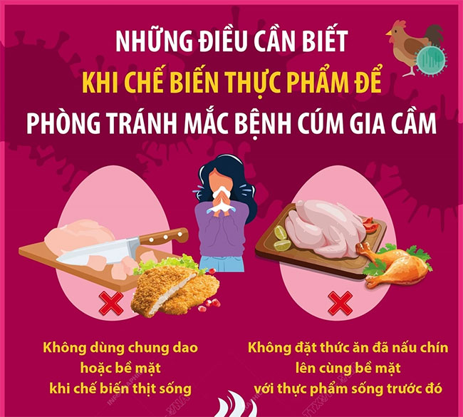 Picture 4 of Bird flu and things you need to know
