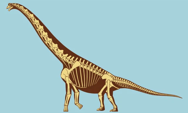Brachiosaurus dinosaur, just vomiting can kill you already! Picture 3