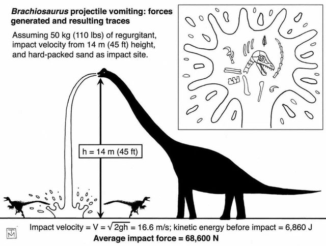 Brachiosaurus dinosaur, just vomiting can kill you already! Picture 4
