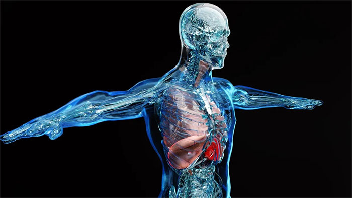 Picture 1 of Breakthrough in human cell mapping project