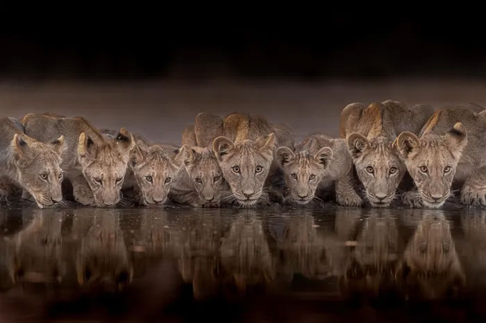 Breathtaking first-ever photos of animals Picture 11
