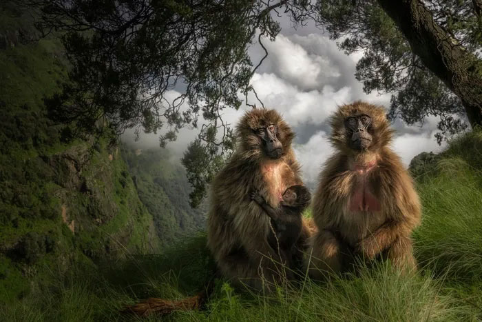 Breathtaking first-ever photos of animals Picture 18