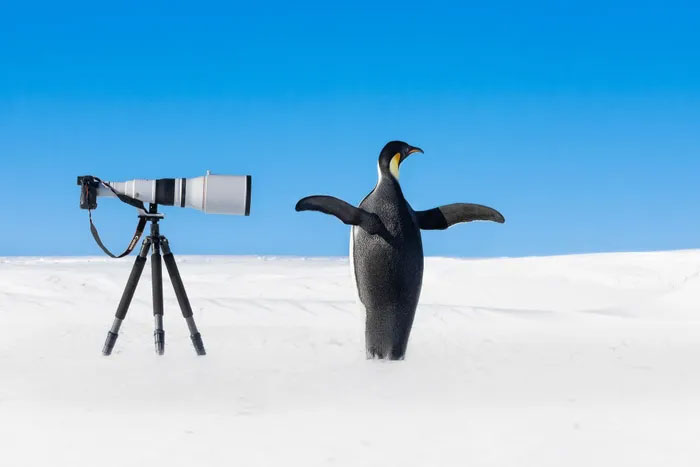 Breathtaking first-ever photos of animals Picture 28