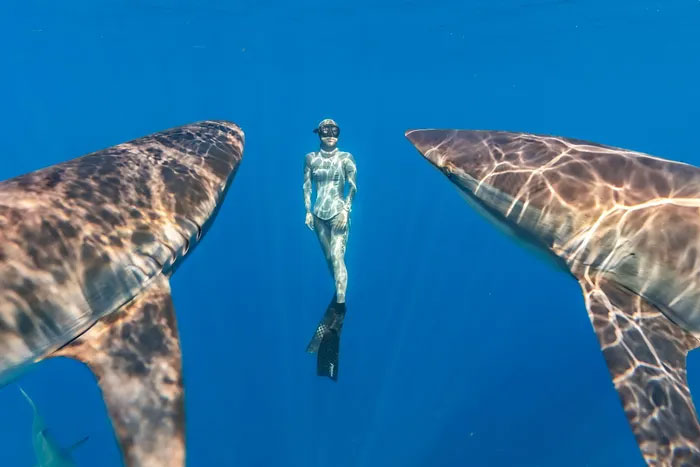 Breathtaking first-ever photos of animals Picture 33