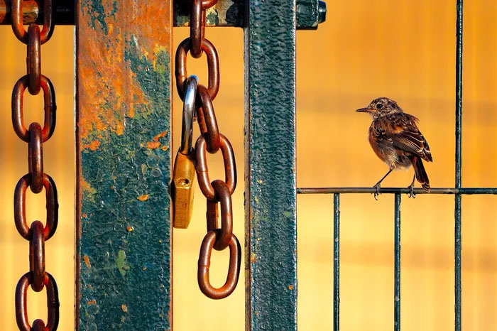Breathtaking first-ever photos of animals Picture 34