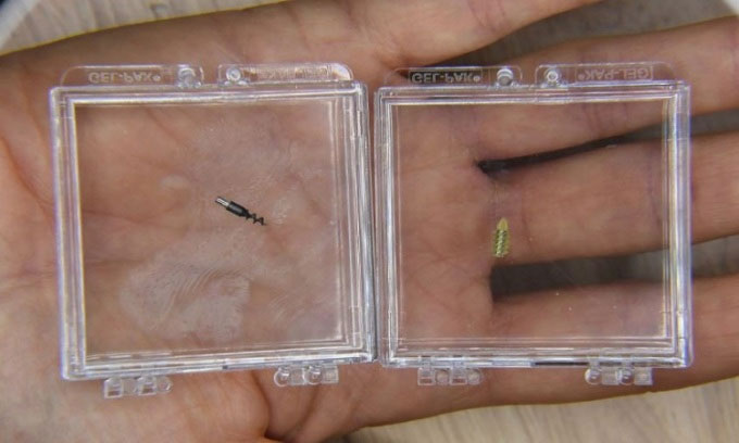 Building a micro robot to help treat tumors Picture 1