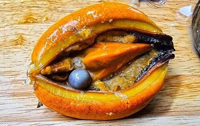 Picture 1 of Buying red mussels to eat, the man cried tears of joy when he found this