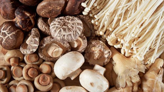 Picture 1 of Can eating mushrooms help reduce the risk of depression in humans?