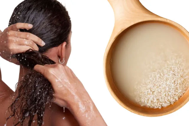 Can rice water prevent hair loss? Picture 1