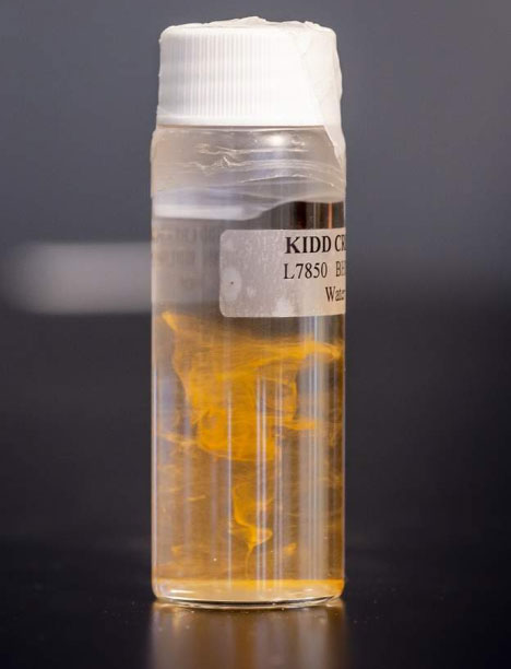 Picture 3 of Canadian expert tells the story of 'dose' drinking ancient water 2.64 billion years old: Very strange taste!