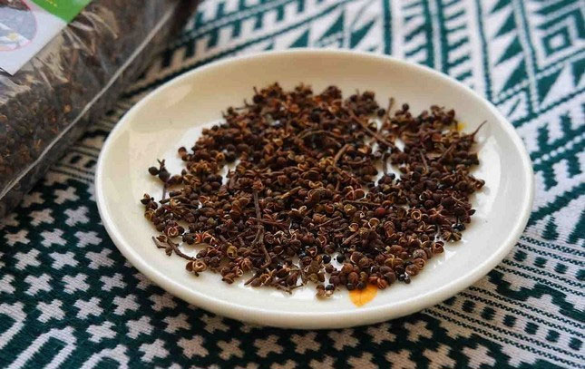Picture 1 of Cancer-fighting compound discovered in a common spice in Northern Vietnam.