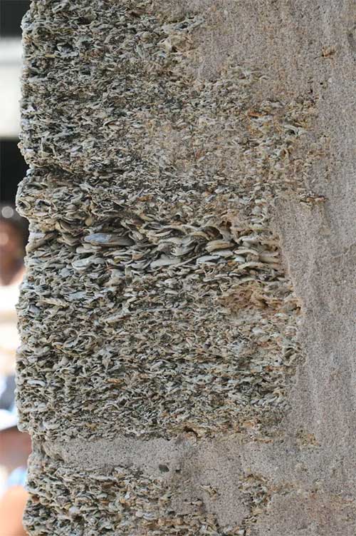Castillo de San Marcos - A special 'cannon-swallowing' fortress in the US Picture 7