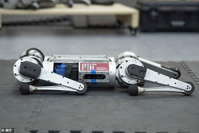 Cheetah robot can learn to run to overcome its own speed limit Picture 2
