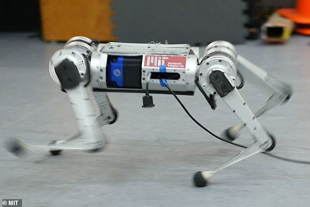 Cheetah robot can learn to run to overcome its own speed limit Picture 3