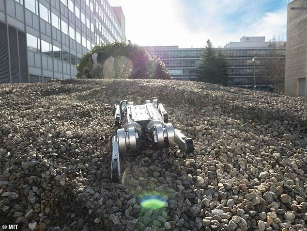 Cheetah robot can learn to run to overcome its own speed limit Picture 4