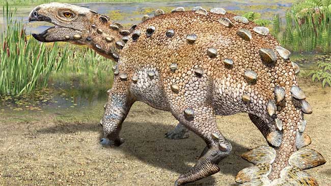 Picture 1 of Chile discovered a new 'armored' dinosaur with a strange tail