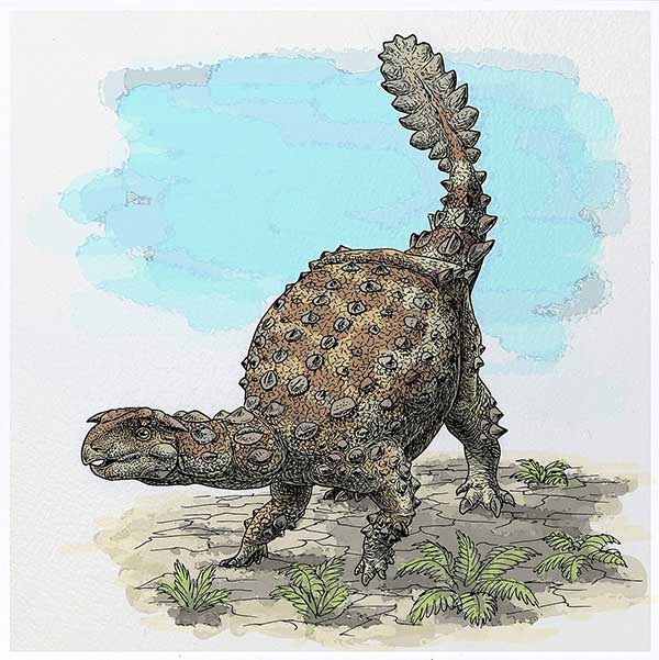 Picture 2 of Chile discovered a new 'armored' dinosaur with a strange tail