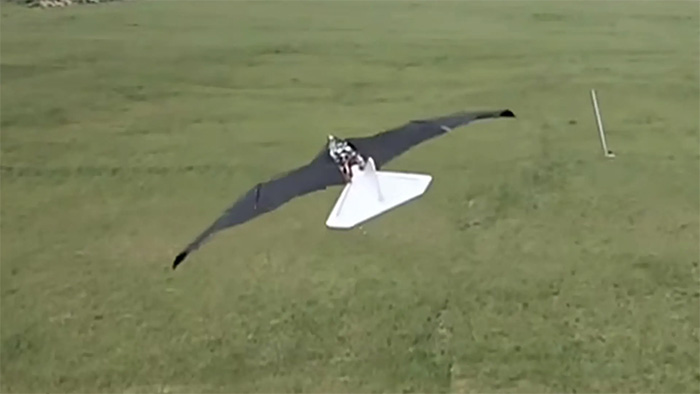 Picture 1 of China announced a bird-like drone