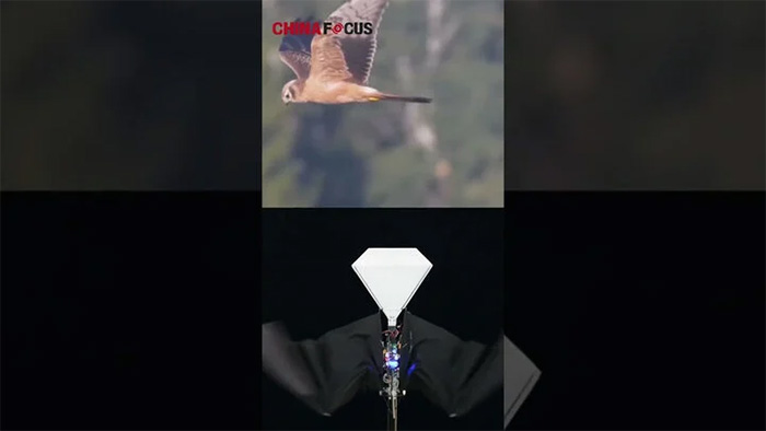 Picture 2 of China announced a bird-like drone