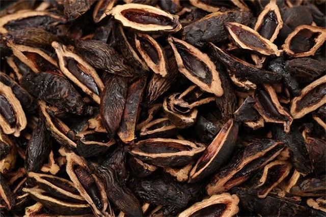 China buys Vietnamese areca nuts heavily: It turns out this fruit can be processed into so many things! Picture 1