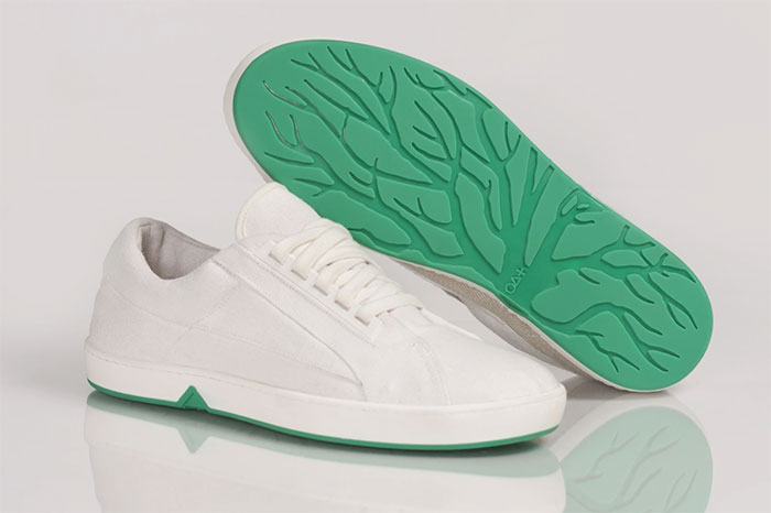 Picture 1 of China develops biodegradable shoes