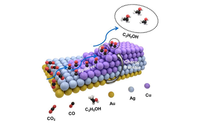 China finds a new way to capture carbon Picture 1