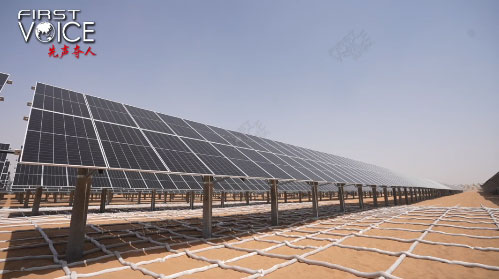Picture 2 of China invents giant 'net' to help cover deserts with trees, making the world admire