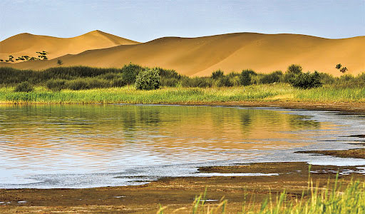 Picture 3 of China turns desert twice the size of Shanghai, haunting with 60m high sand dunes into green oasis