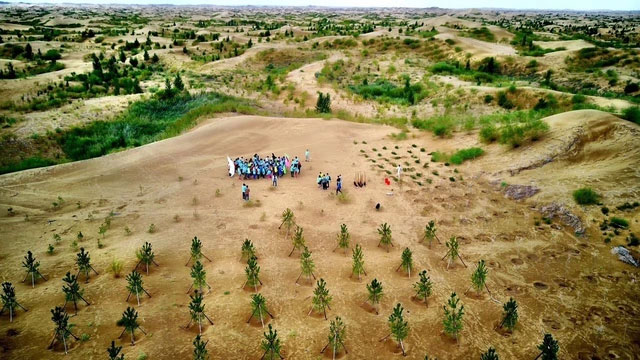Picture 4 of China turns desert twice the size of Shanghai, haunting with 60m high sand dunes into green oasis