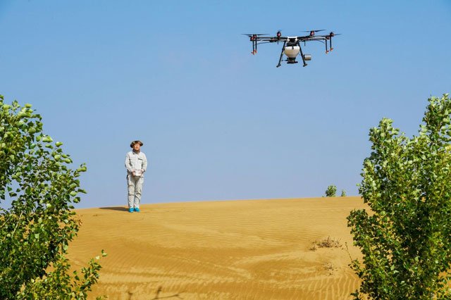 Picture 5 of China turns desert twice the size of Shanghai, haunting with 60m high sand dunes into green oasis