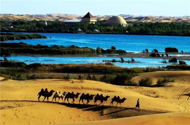 Picture 6 of China turns desert twice the size of Shanghai, haunting with 60m high sand dunes into green oasis